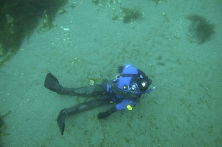 I photograph the “body” in position in ten feet of water with my bare head, shoulders, and arms in the 39 degree water holding my camera housing