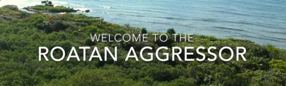 Roatan Agressor February 10-17 2018